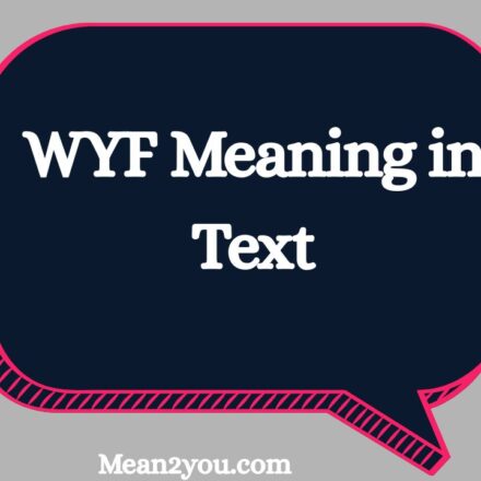 WYF Meaning in Text: What Does WYF Mean in Chat & Slang?