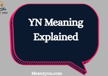 YN Meaning Explained: What Does YN Mean in Text & Social Media?