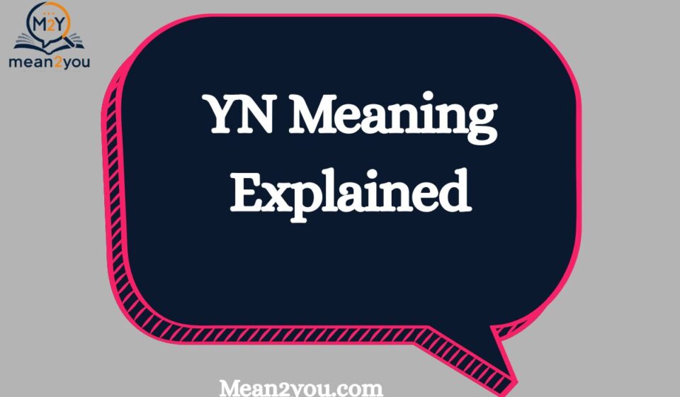 YN Meaning Explained: What Does YN Mean in Text & Social Media?