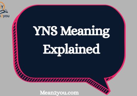 YNS Meaning Explained: What Does YNS Mean in Text, Snapchat & Social Media?