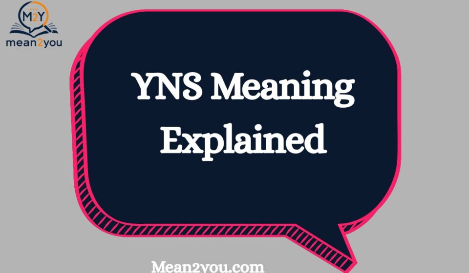 YNS Meaning Explained: What Does YNS Mean in Text, Snapchat & Social Media?