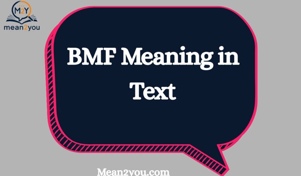 BMF Meaning in Text: What Does BMF Mean in Chat, Slang & Social Media (2026)