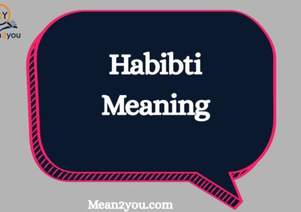 Habibti Meaning: What Does Habibti Mean in Arabic, Text & Chat? (2026)