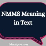 NMMS Meaning in Text: What Does NMMS Mean in Messages?