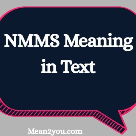 NMMS Meaning in Text: What Does NMMS Mean in Messages?
