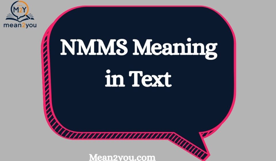 NMMS Meaning in Text: What Does NMMS Mean in Messages?