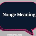 Nonge Meaning: What Does Nonge Mean in Text, Slang & Social Media? (2026)
