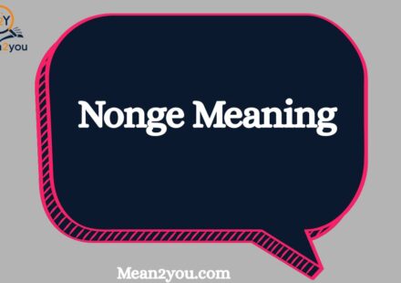 Nonge Meaning: What Does Nonge Mean in Text, Slang & Social Media? (2026)