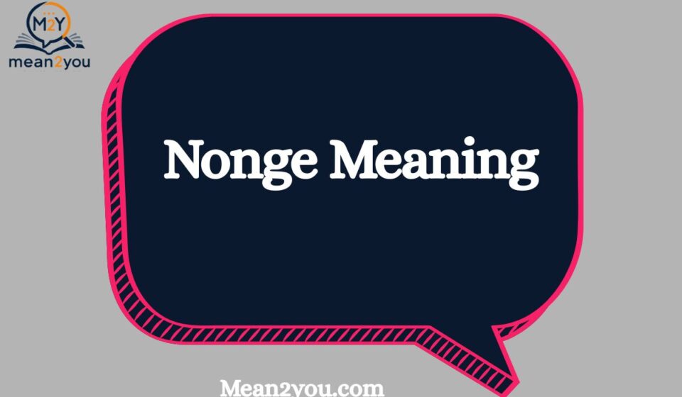 Nonge Meaning: What Does Nonge Mean in Text, Slang & Social Media? (2026)