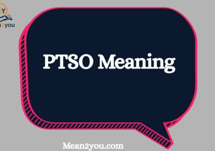 PTSO Meaning in Text: What Does PTSO Mean in Chat, Texting & Social Media? (2026)