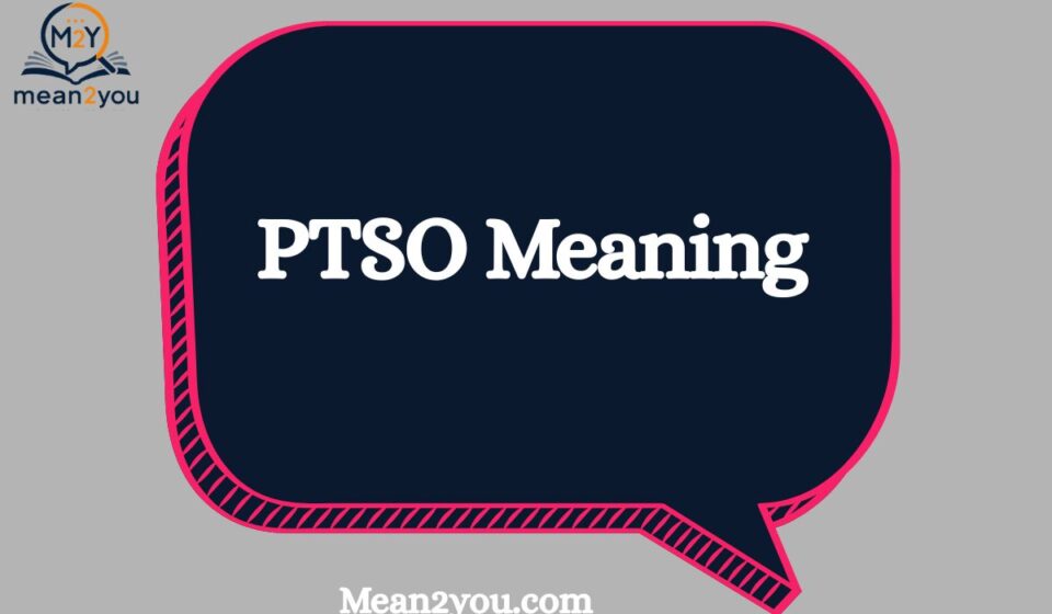 PTSO Meaning in Text: What Does PTSO Mean in Chat, Texting & Social Media? (2026)