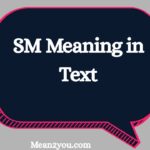 SM Meaning in Text: What Does SM Mean in Chat, Texting & Social Media? (2026)