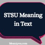 STSU Meaning in Text: What Does STSU Mean in Chat, Slang & Social Media? (2026)