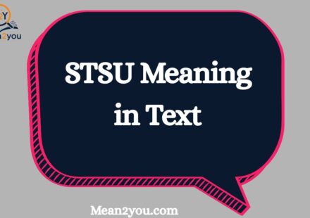 STSU Meaning in Text: What Does STSU Mean in Chat, Slang & Social Media? (2026)