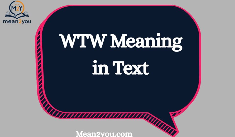 WTW Meaning in Text: What Does WTW Mean in Texting, Chat & Social Media?