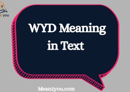 WYD Meaning in Text What Does WYD Mean in Chat, Texting & Social Media (2026)