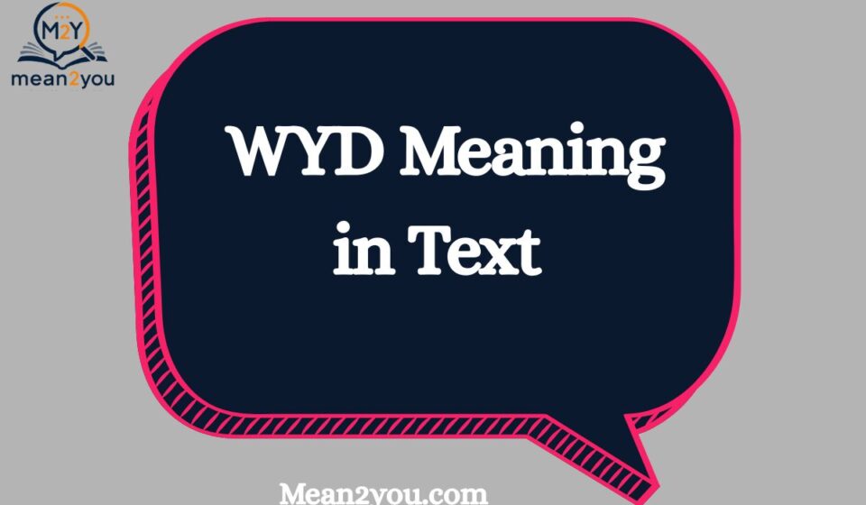 WYD Meaning in Text What Does WYD Mean in Chat, Texting & Social Media (2026)