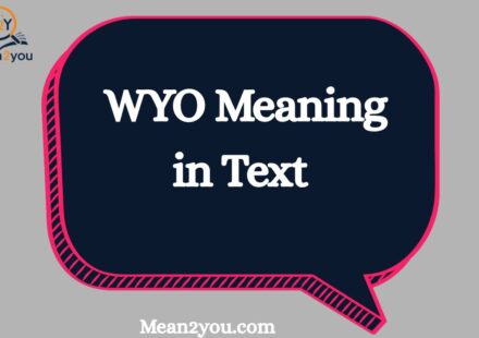 WYO Meaning in Text: What Does WYO Mean in Chat, Texting & Social Media? (2026)