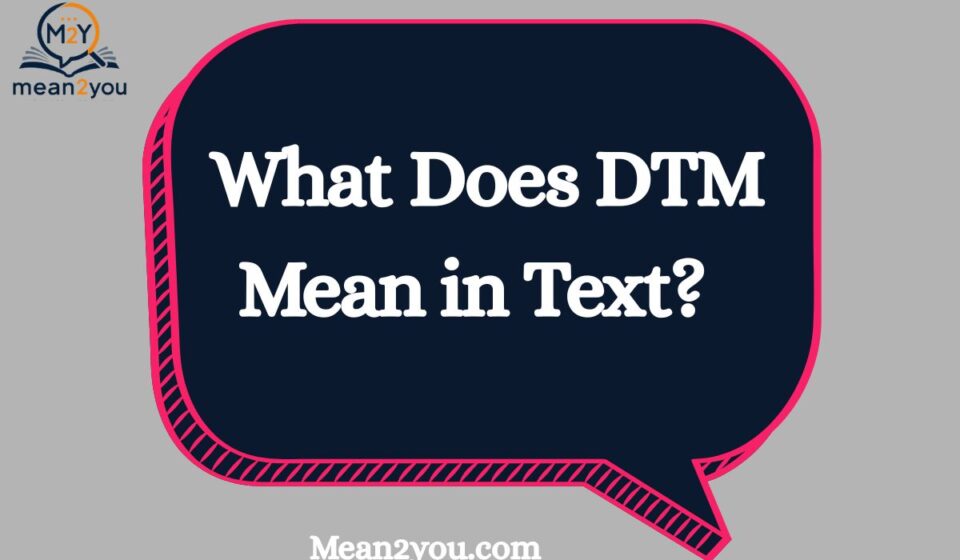 What Does DTM Mean in Text? DTM Meaning in Chat, Slang & Social Media (2026)