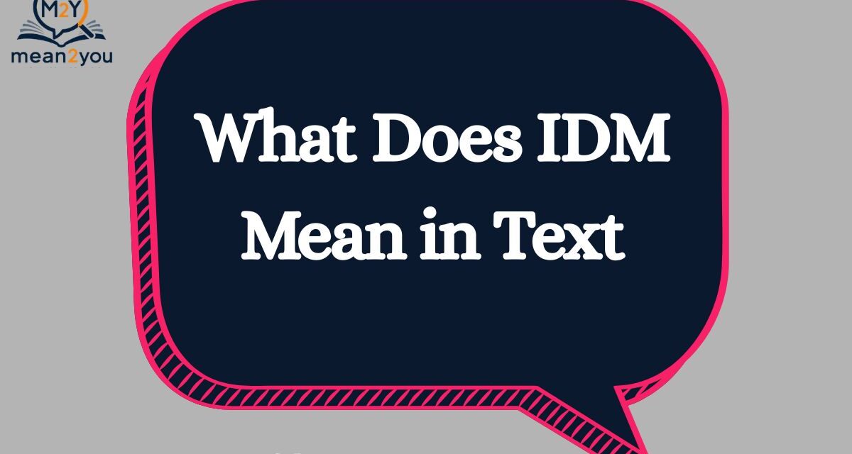 What Does IDM Mean in Text? Meaning, Uses & Examples