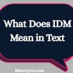 What Does IDM Mean in Text? Meaning, Uses & Examples