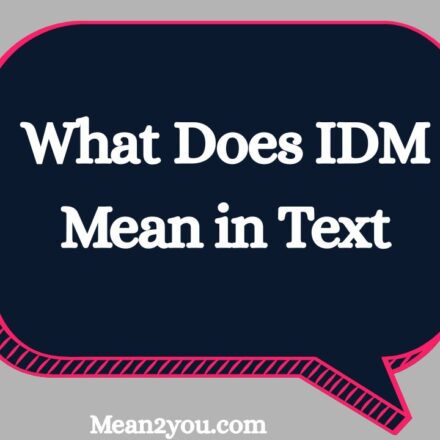 What Does IDM Mean in Text? Meaning, Uses & Examples