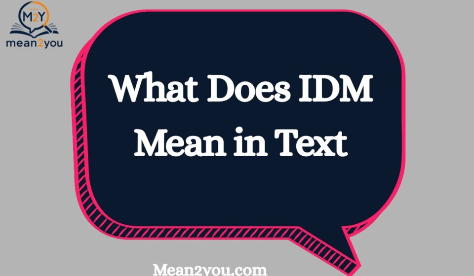 What Does IDM Mean in Text? Meaning, Uses & Examples