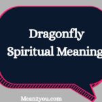 Dragonfly Spiritual Meaning: What Does a Dragonfly Symbolize? Transformation, Change & Spiritual Significance (2026)