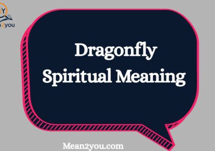 Dragonfly Spiritual Meaning: What Does a Dragonfly Symbolize? Transformation, Change & Spiritual Significance (2026)