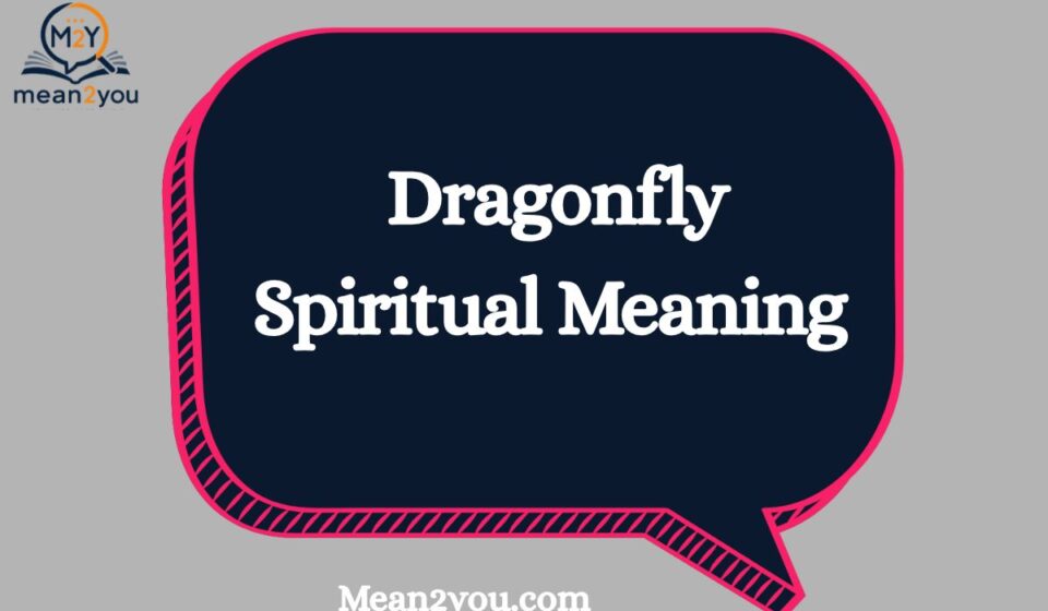 Dragonfly Spiritual Meaning: What Does a Dragonfly Symbolize? Transformation, Change & Spiritual Significance (2026)