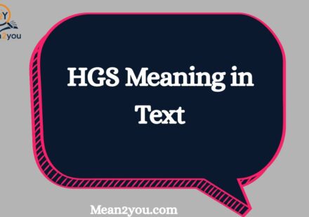 HGS Meaning in Text: Full Form, Chat Slang & Social Media Uses (2026 Updated)