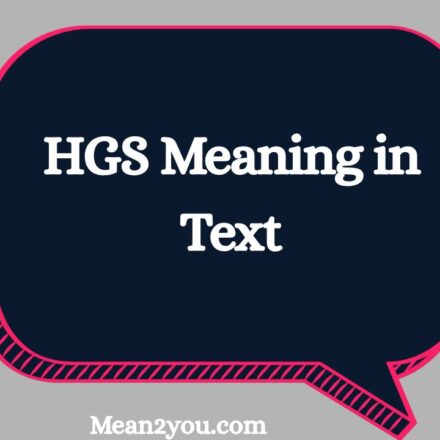 HGS Meaning in Text: Full Form, Chat Slang & Social Media Uses (2026 Updated)
