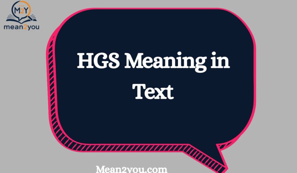 HGS Meaning in Text: Full Form, Chat Slang & Social Media Uses (2026 Updated)