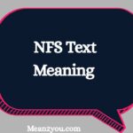NFS Meaning in Text: What Does NFS Mean in Chat, Texting & Social Media? (2026)