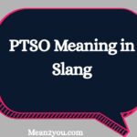 PTSO Meaning in Slang: What Does PTSO Mean in Text, Chat & Social Media? (2026)