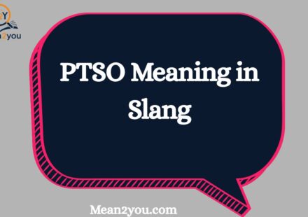 PTSO Meaning in Slang: What Does PTSO Mean in Text, Chat & Social Media? (2026)