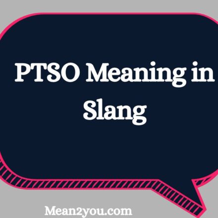 PTSO Meaning in Slang: What Does PTSO Mean in Text, Chat & Social Media? (2026)