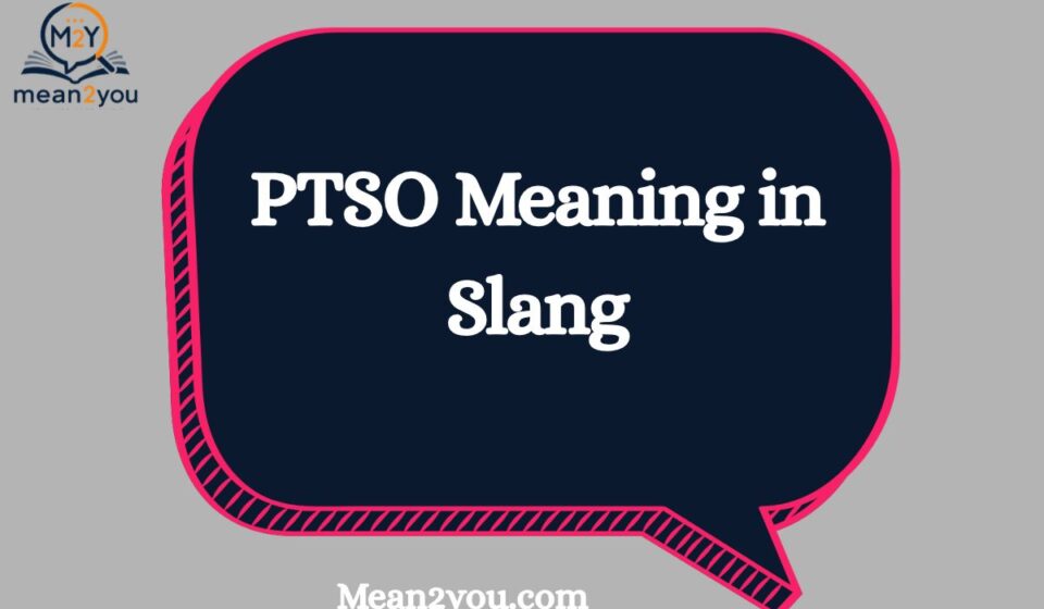 PTSO Meaning in Slang: What Does PTSO Mean in Text, Chat & Social Media? (2026)