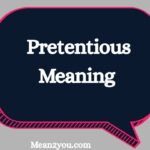 Pretentious Meaning: What Does Pretentious Mean? Definition, Examples & Usage (2026)