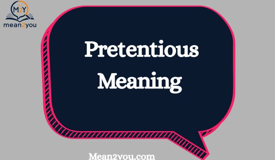 Pretentious Meaning: What Does Pretentious Mean? Definition, Examples & Usage (2026)