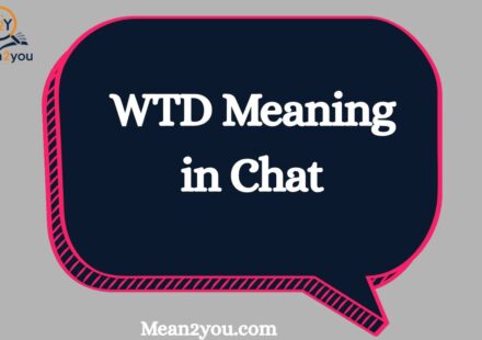 WTD Meaning in Chat: What Does WTD Mean in Text Messages?