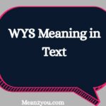 WYS Meaning in Text: What Does WYS Mean in Chat, Texting & Social Media? (2026)