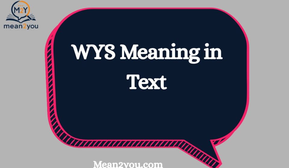 WYS Meaning in Text: What Does WYS Mean in Chat, Texting & Social Media? (2026)